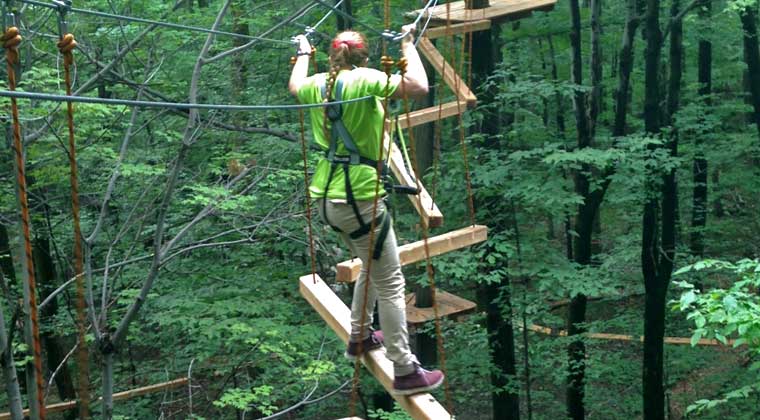 Wildlife Conservation