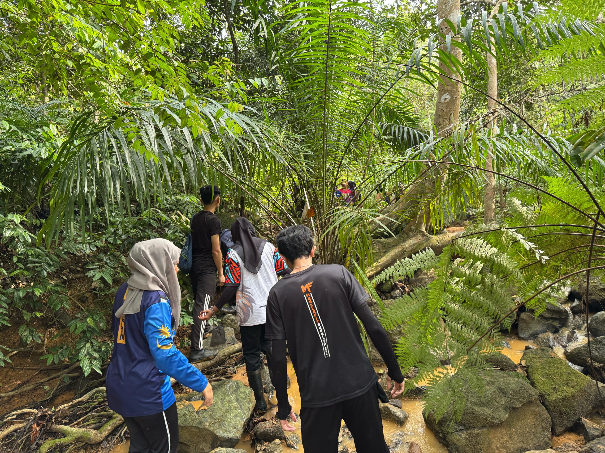 Jungle Trekking